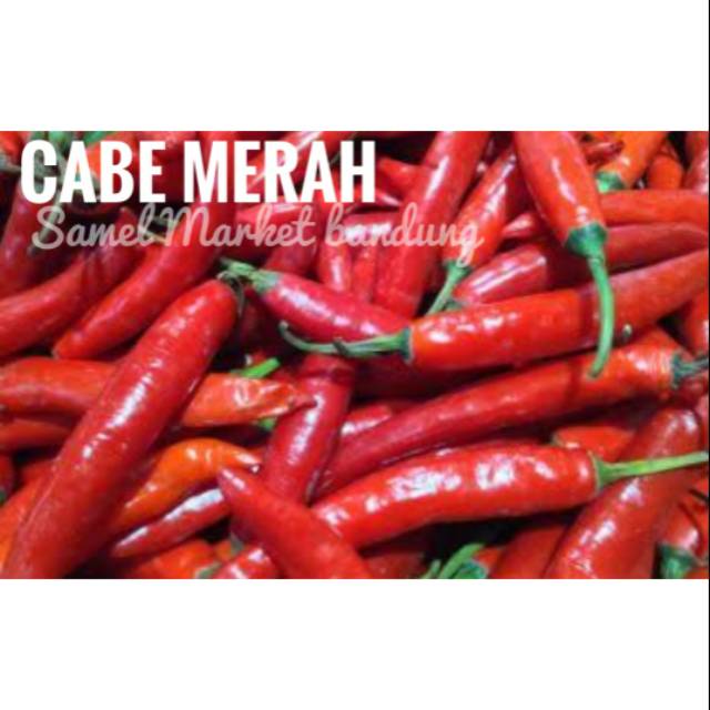

Cabe Merah Segar 250 gr