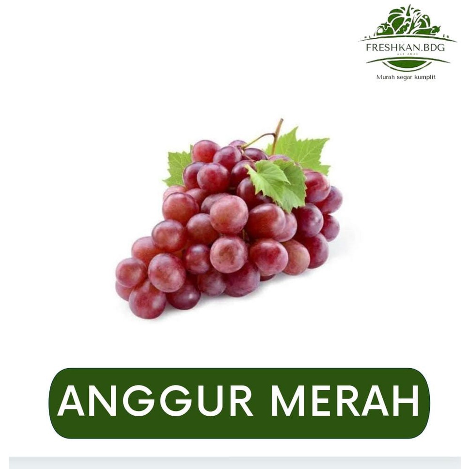 

ANGGUR MERAH BUAH SEGAR FRESHKAN.BDG