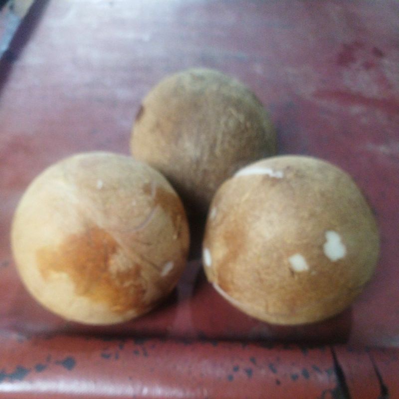 

kelapa parut/santan murni