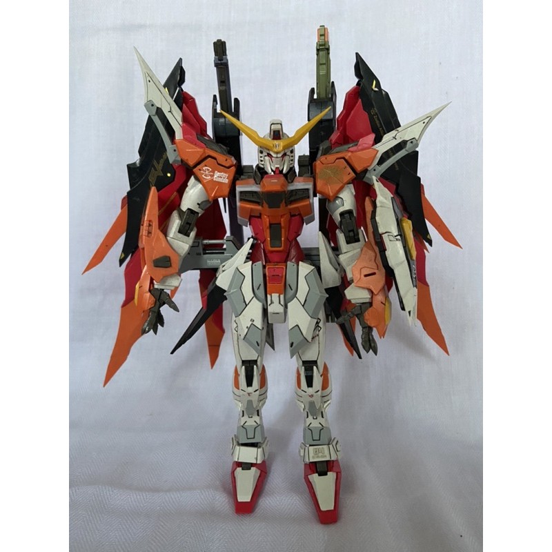 MG 1/100 DESTINY HEINE GUNDAM (DRAGON MOMOKO)