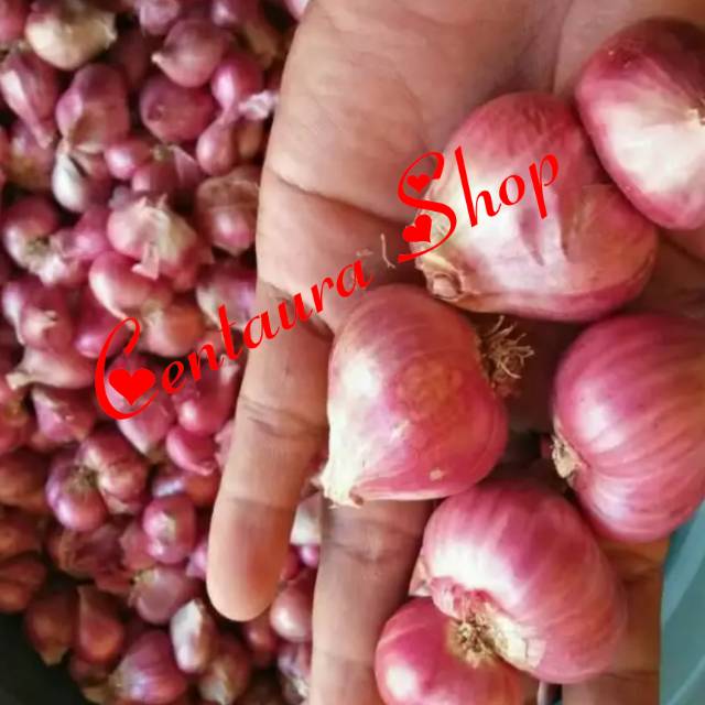 

Bawang Merah Probolinggo Kwalitas Super Unggul 1000gr