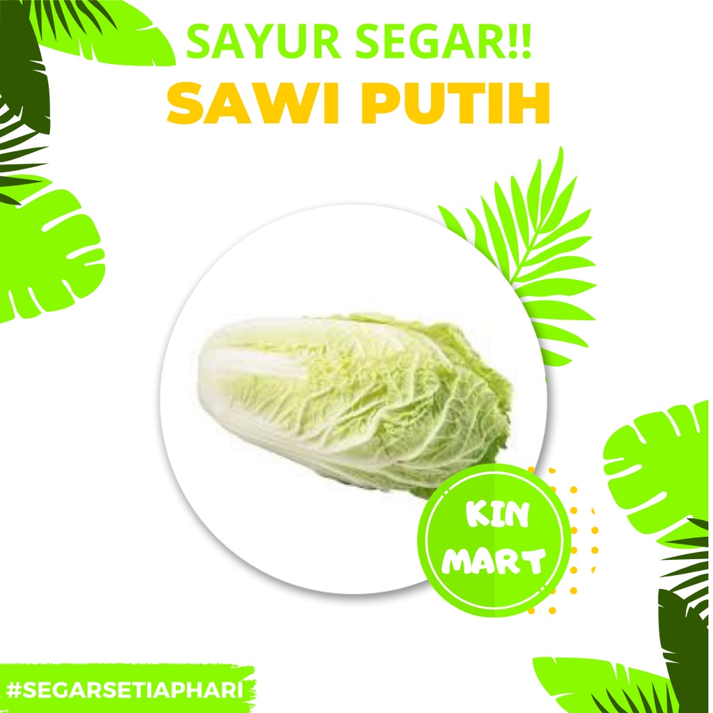 

Sawi Putih