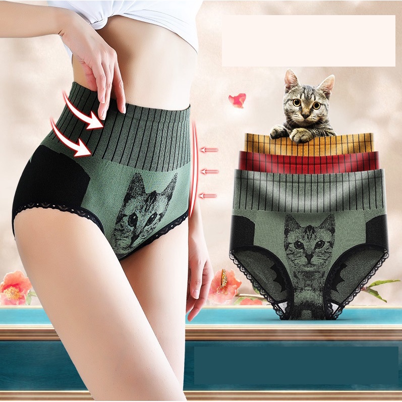 Celana Dalam Wanita Tinggi Renda CD Underwear Panties CAT Style CD40