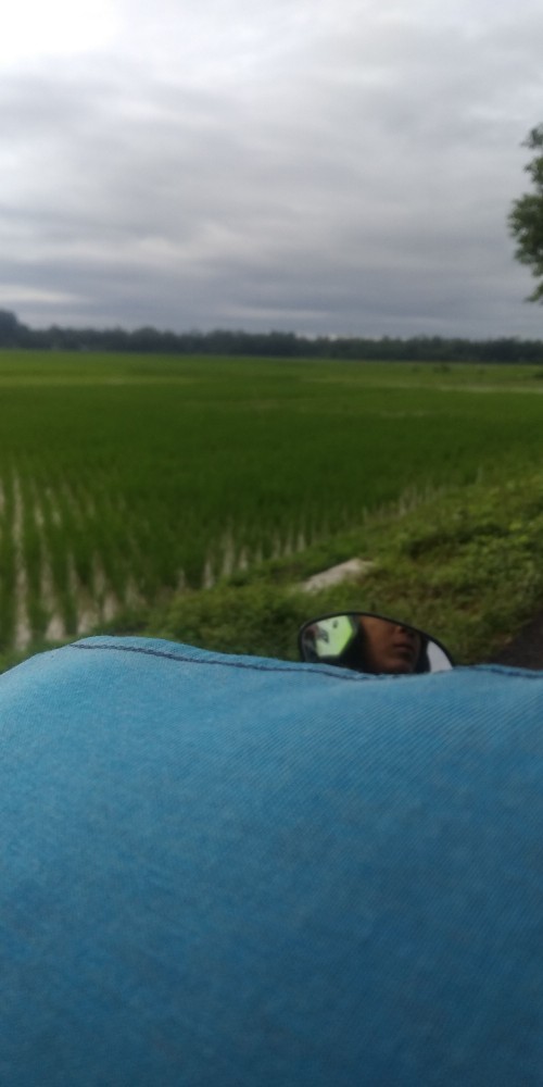 Tunik Respati Garis Tunic Batik Cantik Sogan Modis Modern Ziggy Seragam Kantor Kerja Pesta Terbaru