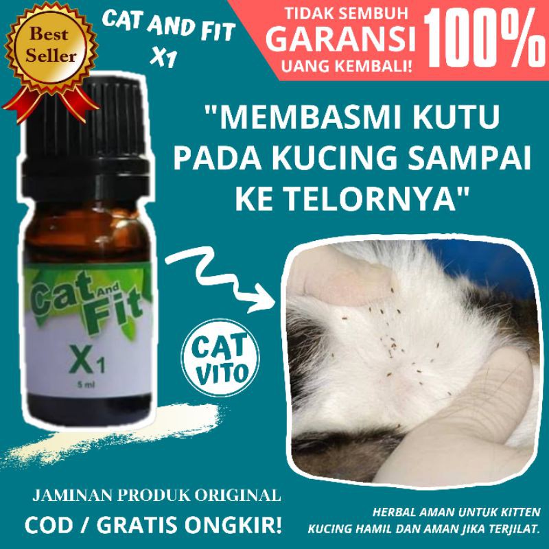 PAKET AMPUH! CAT AND FIT X1 DAN HERBACAT OBAT KUCING JAMURAN MENGOBATI JAMUR KUTU SCABIES RINGWORM KUCING MANJUR HERBAL ALAMI