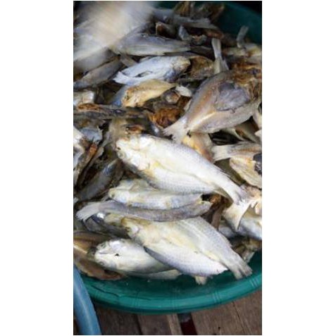 

Ikan Asin Belanak Belah ( 250 Gr )