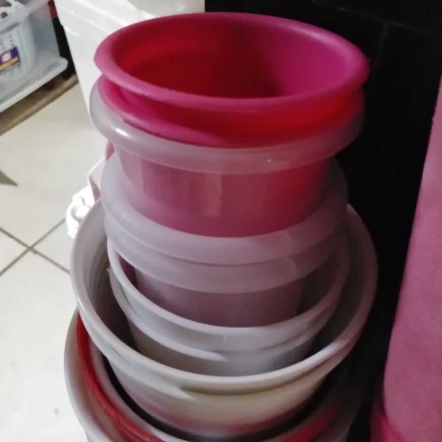 Pot Bunga Tanaman Pirus Madu Tinggi 12 Putih