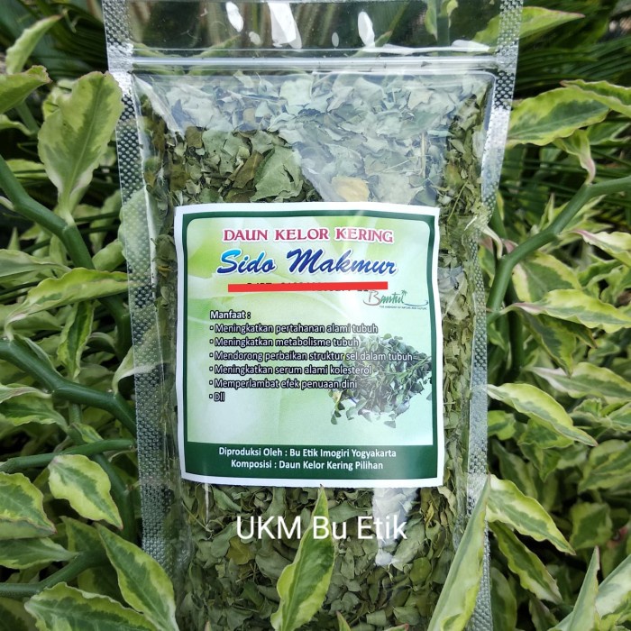 

TERBARU Daun Kelor Kering Pilihan