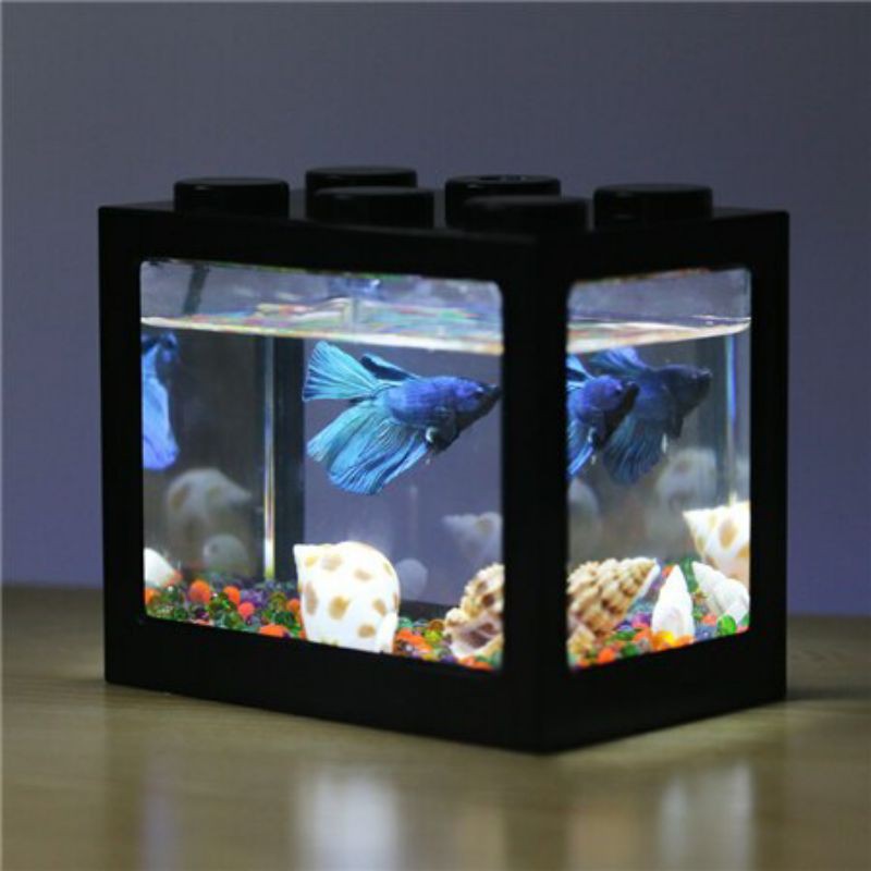 aquarium mini ikan hias cupang susun with lampu led colourfu