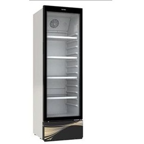 Showcase Polytron SCN 237 285 Liter