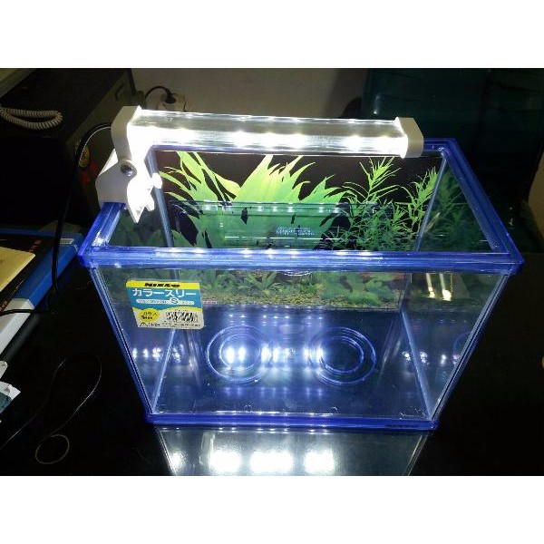 Lampu LED Jepit Aquarium 30cm - 40cm merk YANG Body Kaca LED - 8W / 10 W