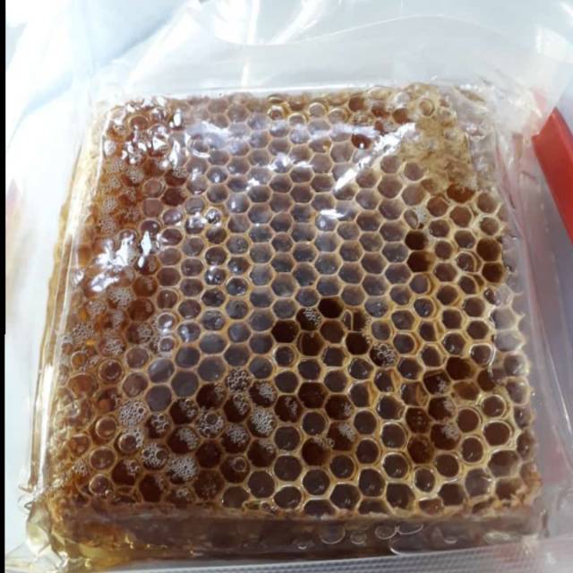 

Madu sarang asli
