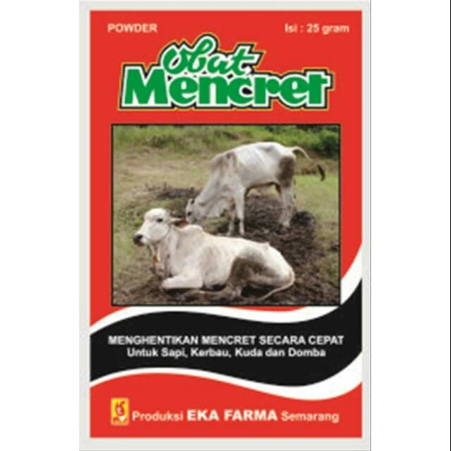 Obat mencret sapi