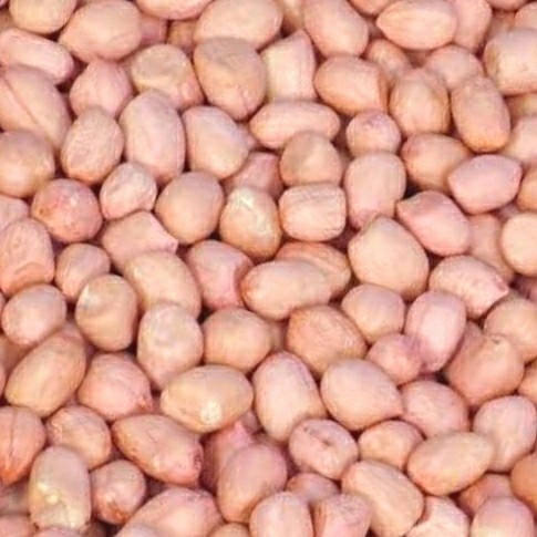 KACANG TANAH MENTAH KULIT ARI SEGAR 500 GRAM