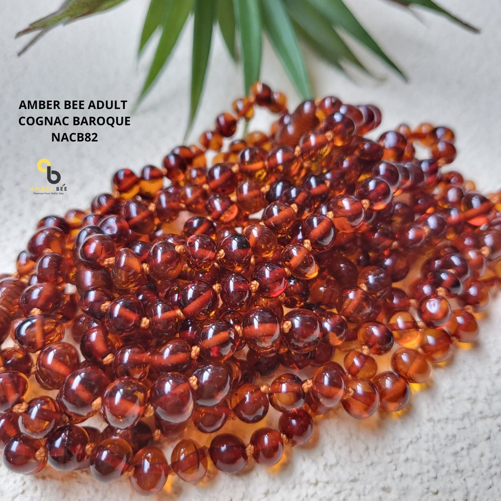 Kalung Amber Dewasa Premium Glossy Dark Cherry by Amber Bee NAGDC64