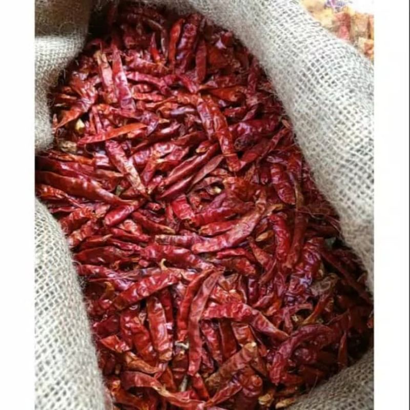 

Cabe merah kering rawit, cabe rawit teja super pedas. Cabe Teja Ori 100 gram tanpa tangkai