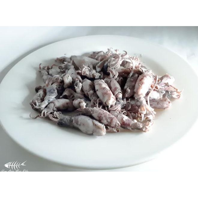 

20av baby cumi asin / cumi kecil asin / cumi baby asin harga termurah 3yyl