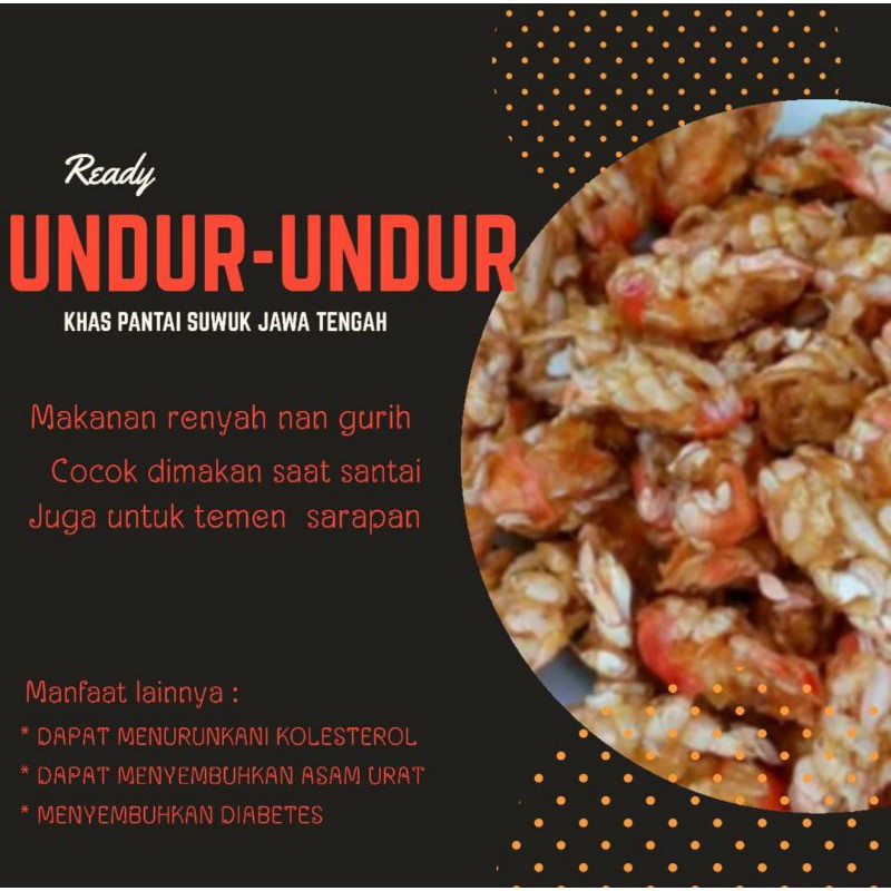 

Undur" laut