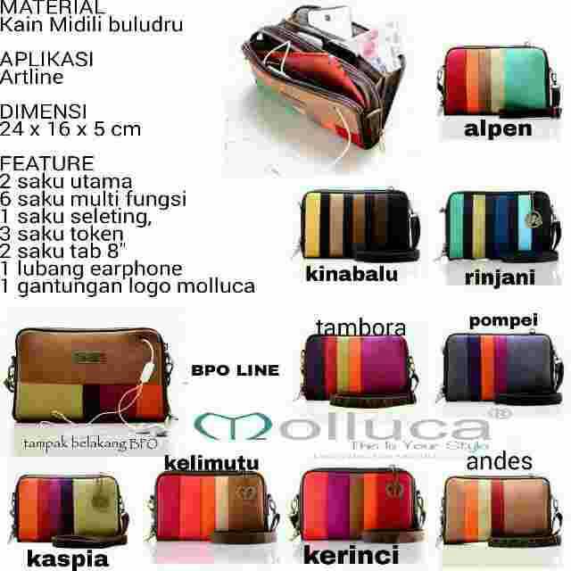 BPO MOLLUCA / Tas molluca