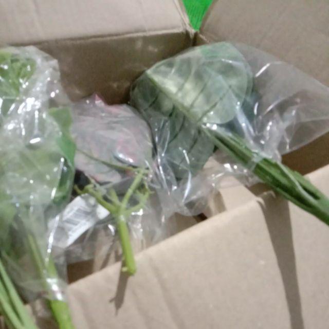 Buket Daun Artificial Tangkai