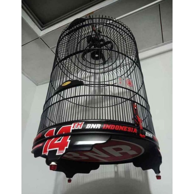 BNR 14 sangkar murai batu free cepuk bnr