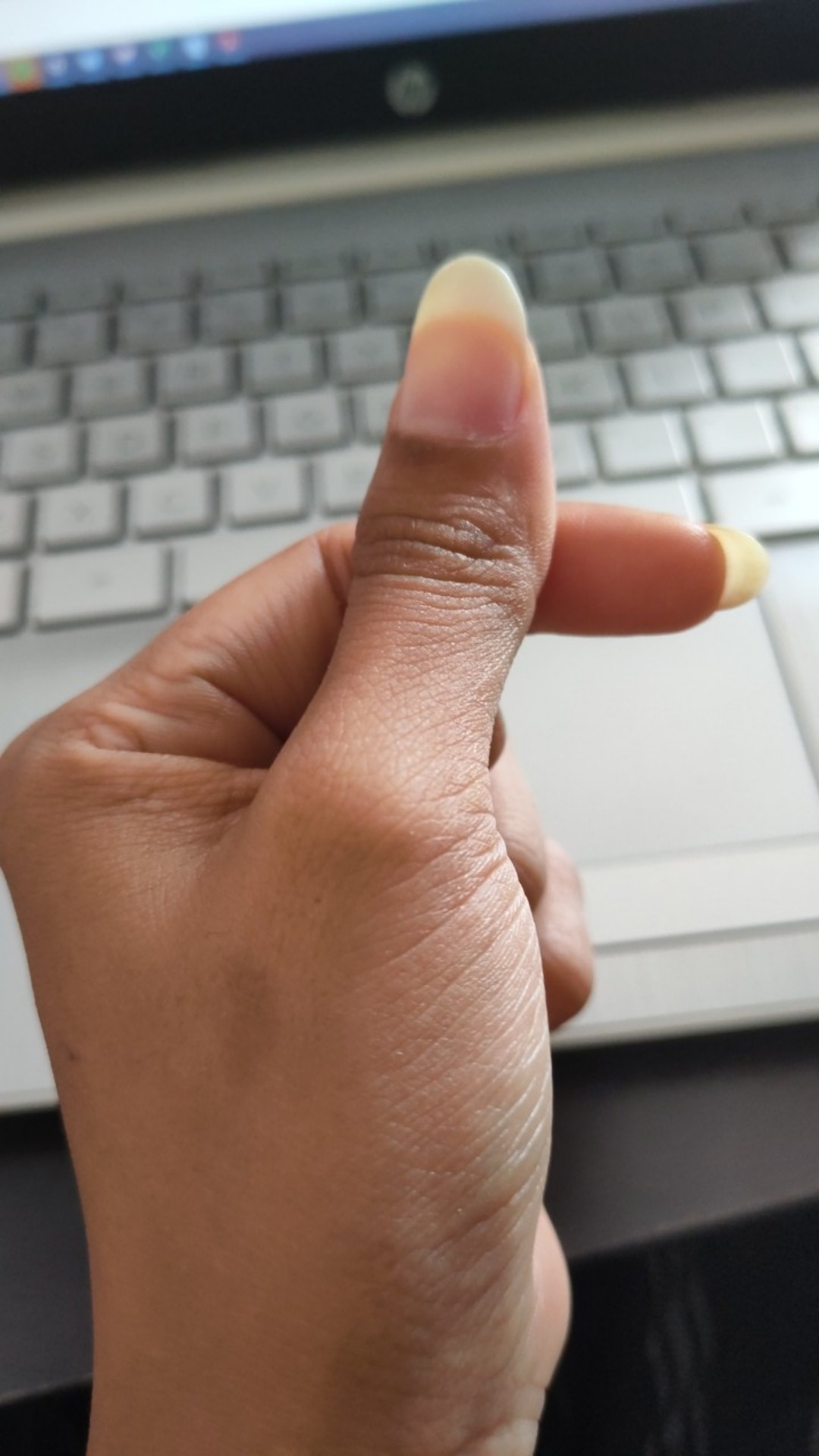 Knife Set 5 Pcs - Pisau Dapur Roti Daging Gunting Sayur Dan Talenan