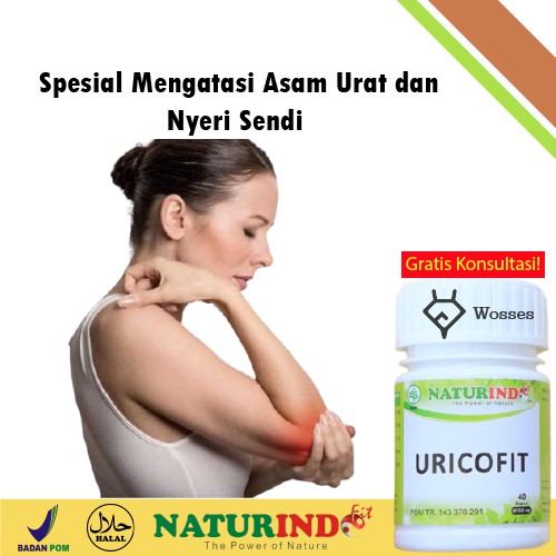 Obat Herbal Asam Urat ( Uricofit ) Naturindo