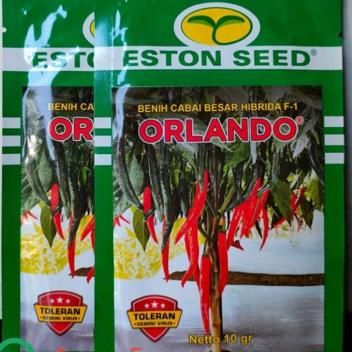 BENIH CABE BESAR HIBRIDA F1 ORLANDO kemasan 10g