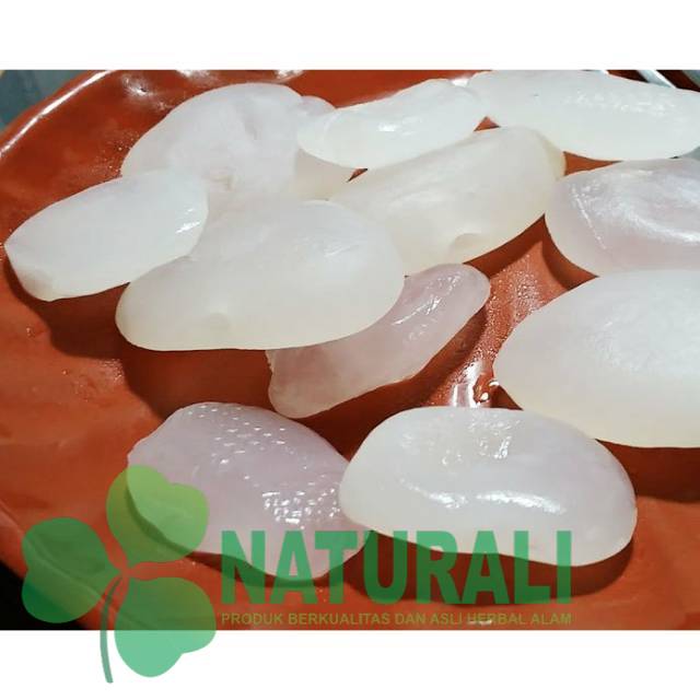 

Grosir buah kolangkaling 1kg muda dan segar