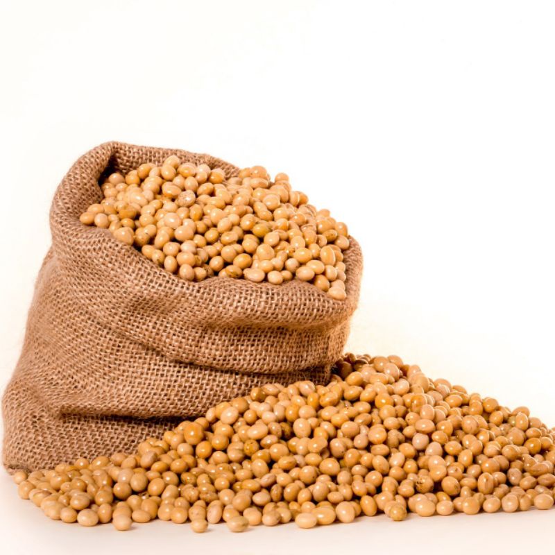 

Kacang Kedele Impor dari Amerika/USA