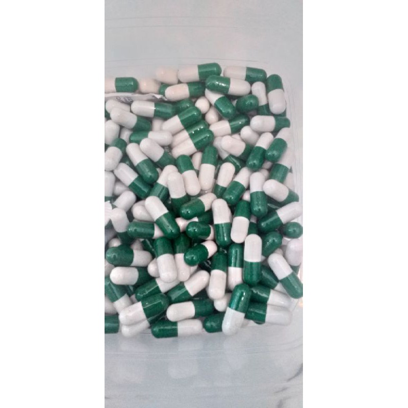 Serbuk Cacing Lumbricus Rubellus