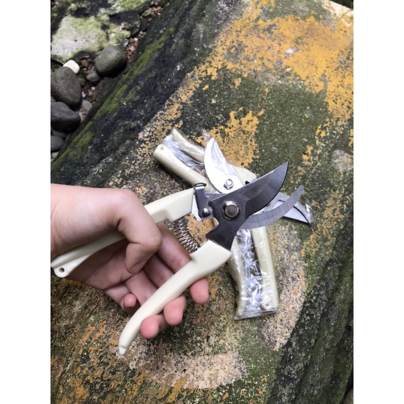 Peralatan Alat berkebun Gunting dahan ranting