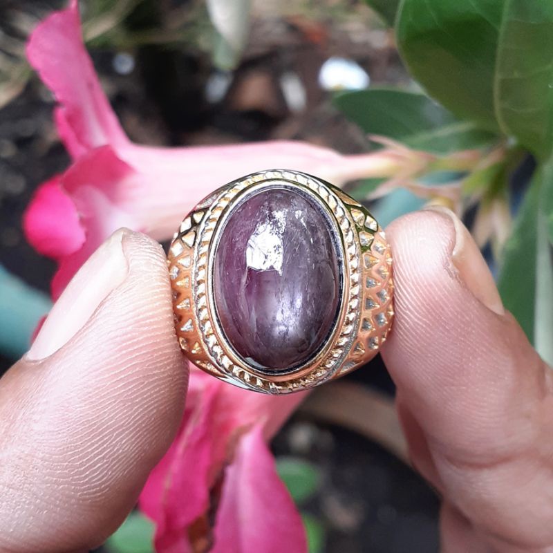 Ruby Star Afrika Big Size