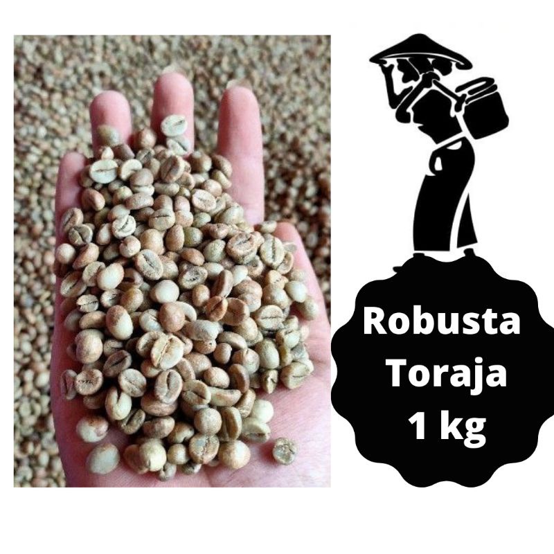 Toraja Koffie Kopi Toraja Kopi Robusta Toraja Organik Biji Mentah Green Bean 1kg