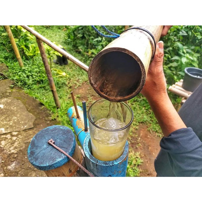 

Lahang Kawung Nira Aren Jamu Herbal Asli 100% Organik