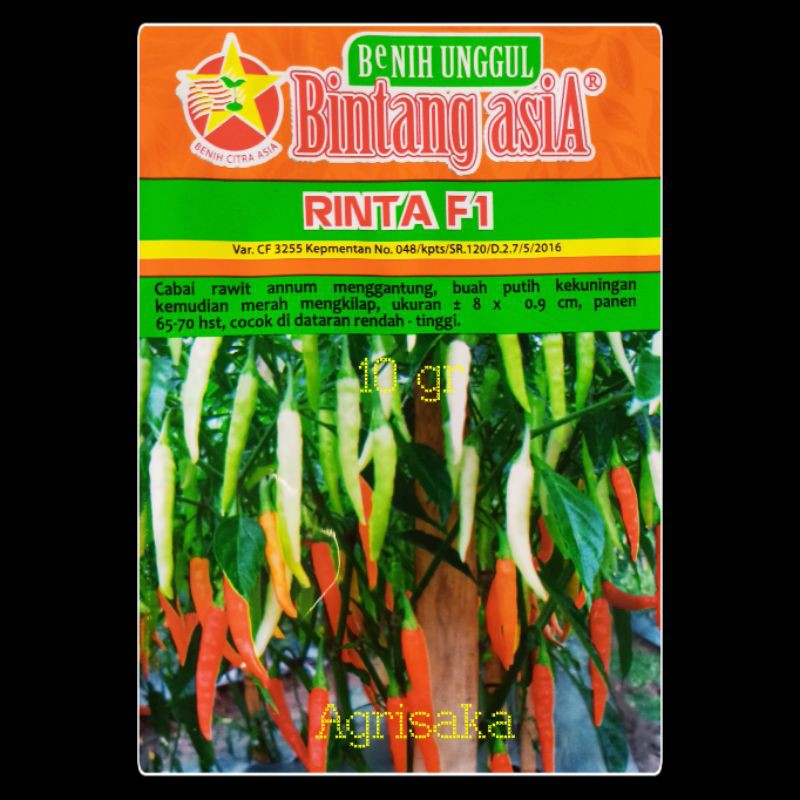Benih Cabai Rawit RINTA F1 10 Gr Bintang Asia