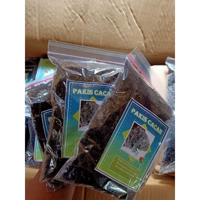 media tanam aglonema/bunga pakis cacah