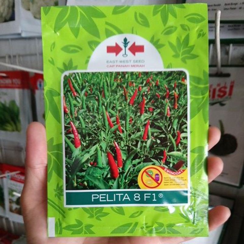 Benih Bibit Cabe Rawit PELITA 8 F1 Isi 2250biji
