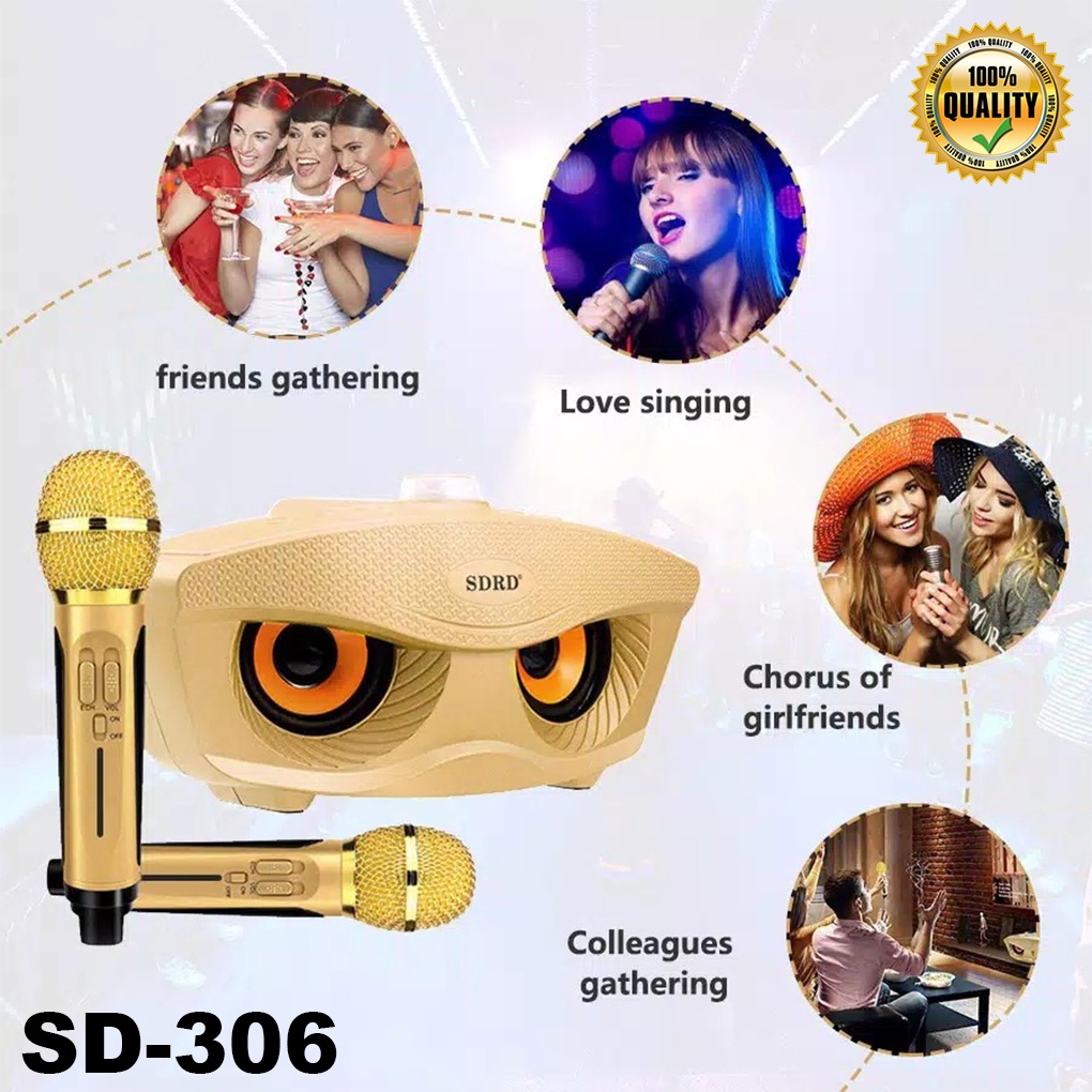 Speaker  Bluetooth Karaoke Wireless SDRD SD306 + Dua Microphone