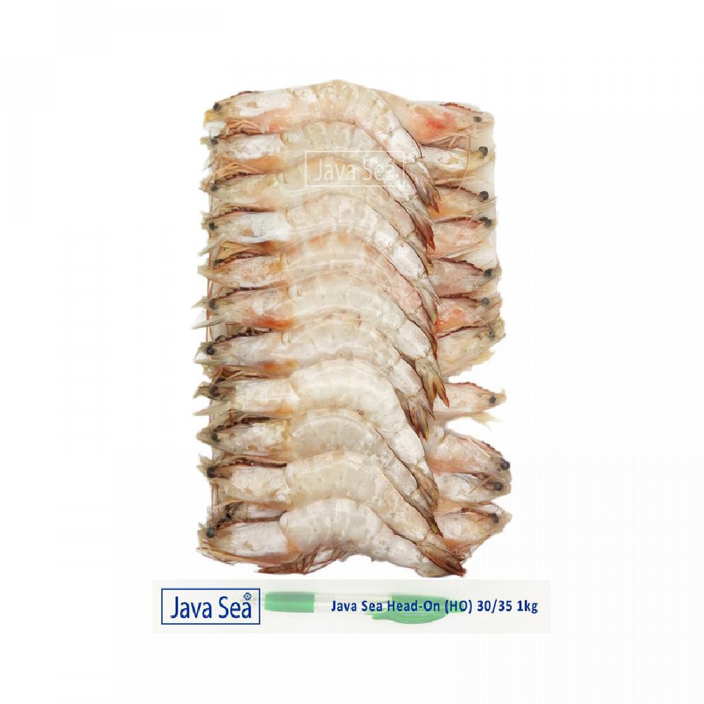 

JAVA SEA Udang Laut Utuh Ada Kepala Beku HO W 30 35 pack 1kg