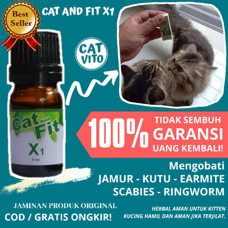 OBAT JAMUR KUTU KUCING DAN SCABIES KUCING CAT AND FIT X1 ULTIMATE