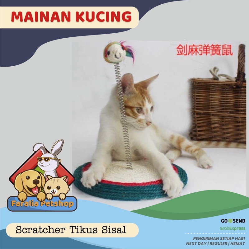 Mainan Scratcher Kucing dengan Per Spring Tikus Onteraktif Cat Toy Sisal