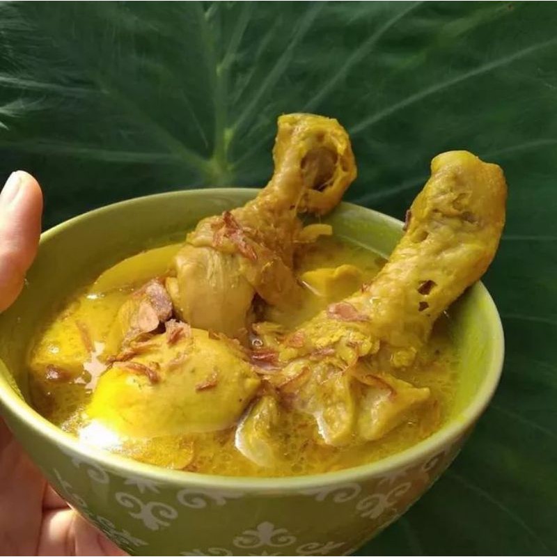 

Bumbu instan opor ayam(150gr)