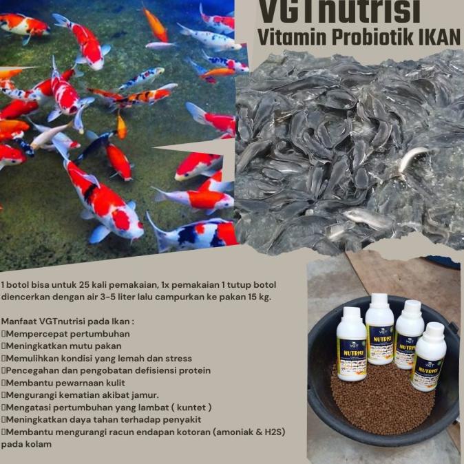 Vgt Nutrisi Ikan Vitamin Probiotik Perikanan Air Tawar Payau Lele Nila