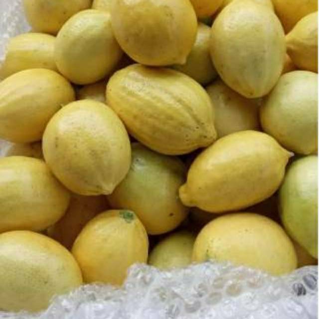 

Lemon 4kg