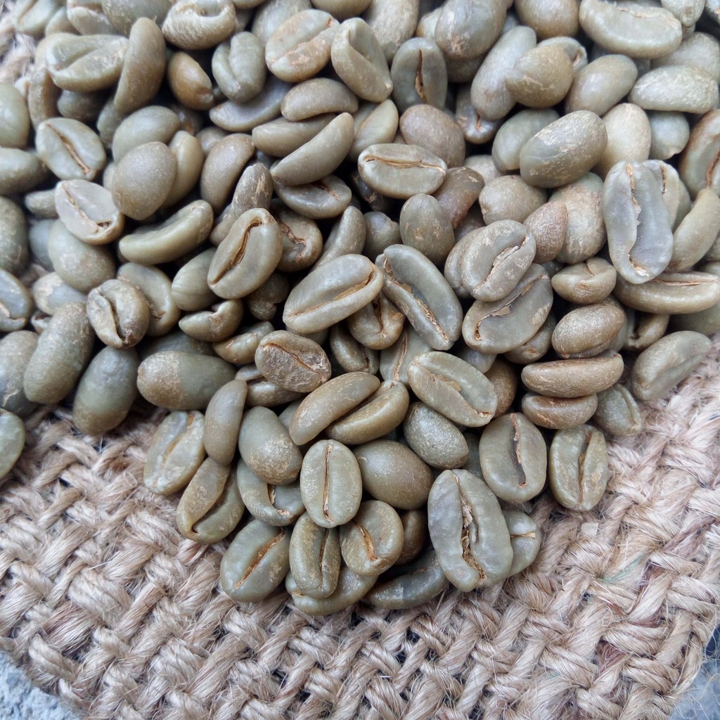 

Kopi Organik Green Beans Kopi Organik Arabika Bukit Palasari