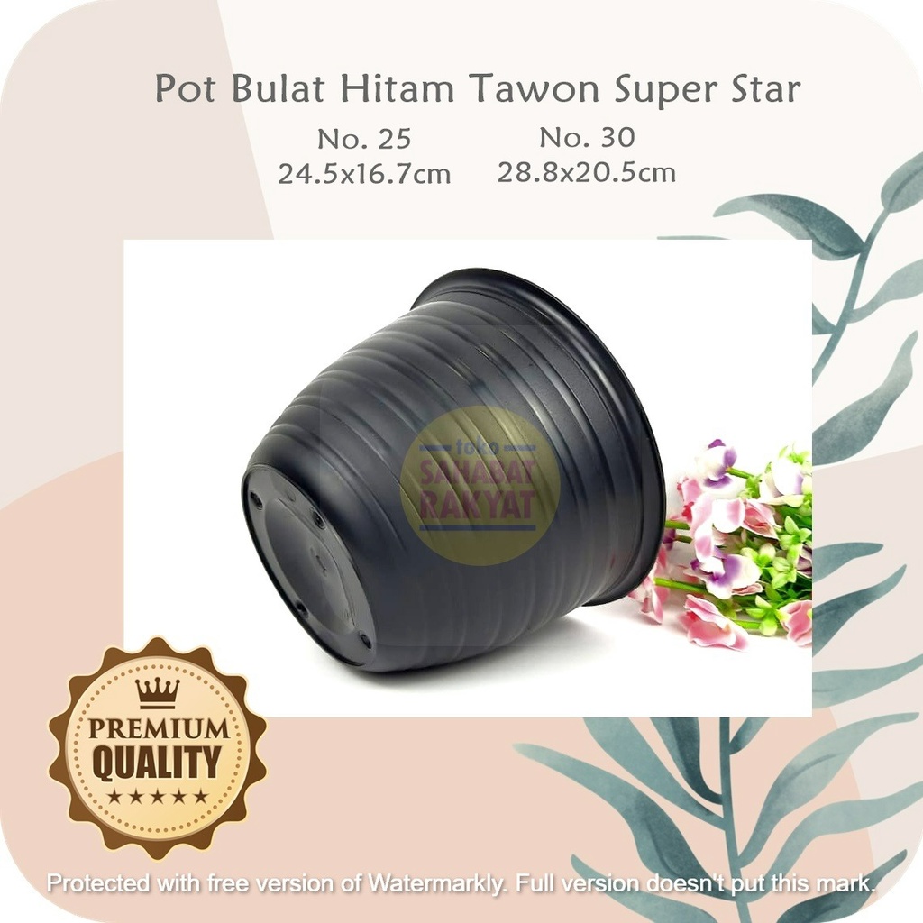 RML764Y6 - Pot Bunga Hitam Tawon Super Star