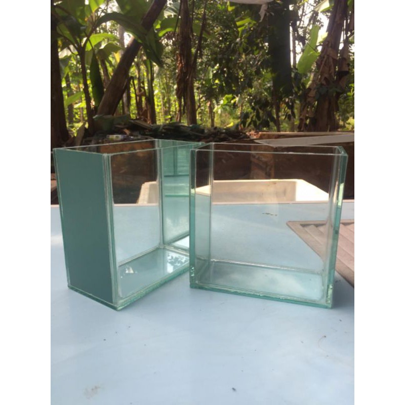 soliter selfie 2 sisi ukuran 15×8×15 soliter cupang soliter ikan cupang toples aquarium cupang