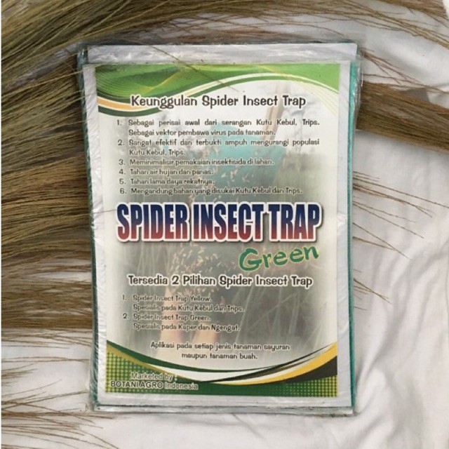 Spider Insect Trap Green