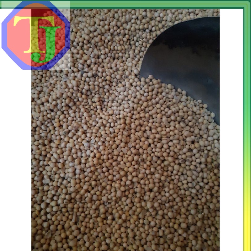 

kacang kedele impor usa bola ijo 1kg